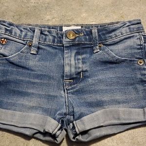 Hudson jean shorts